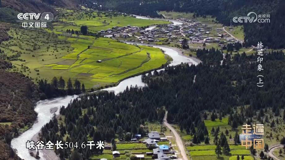 《走遍中国》林芝印象（上）
